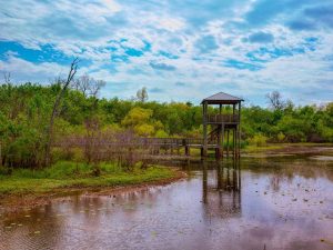 Sugar Land, Tx 18 Cullinan Park