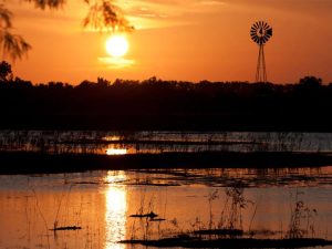 Greatwood, Tx 16 Sugar Land Memorial Park